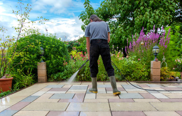 Best Pre-Holiday Cleaning  in West Van Lear, KY