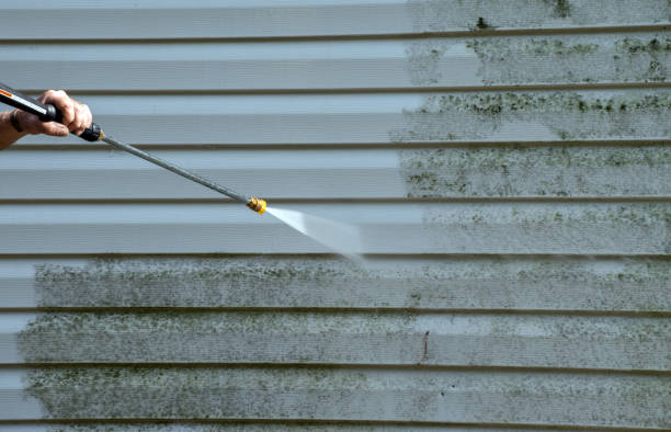 Best Spring Cleaning  in West Van Lear, KY